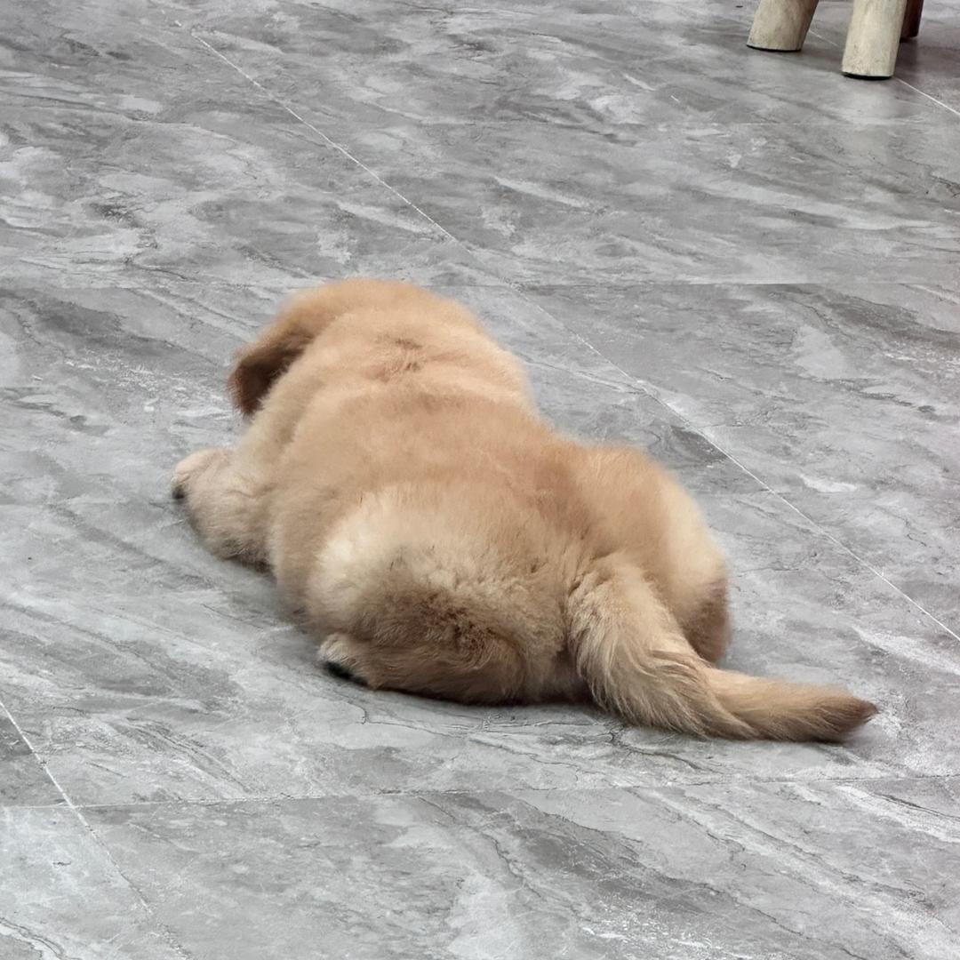🌈🌈王框框