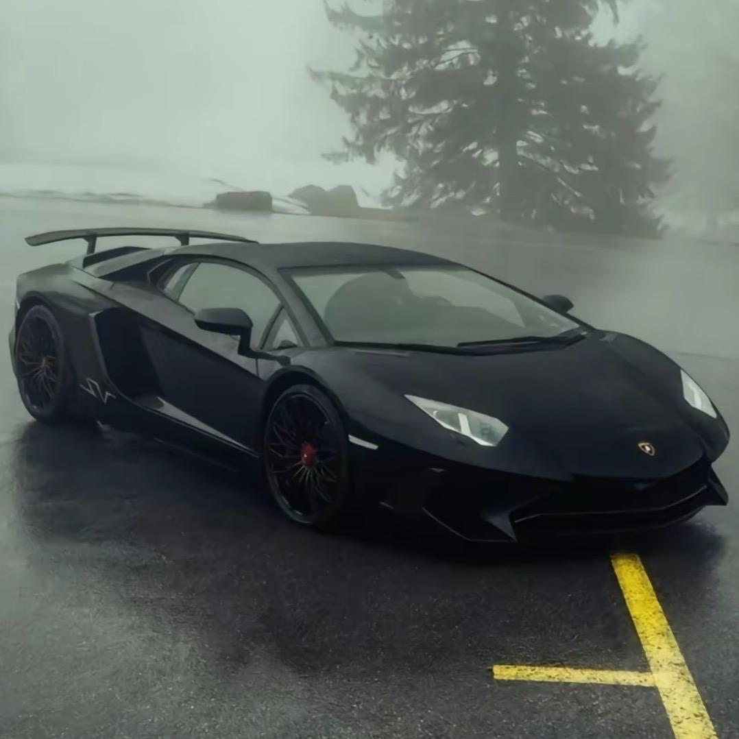 高尚（宠粉号）