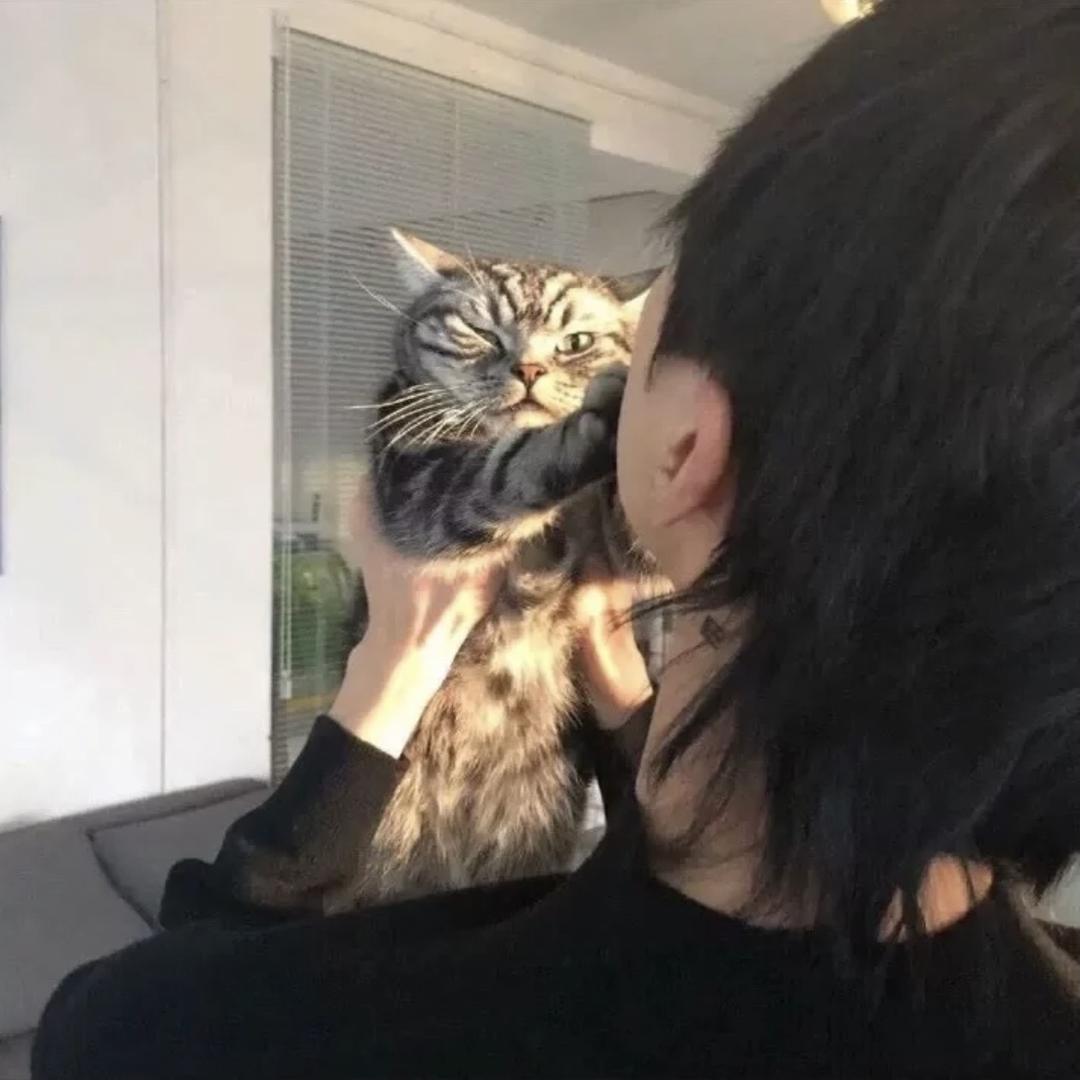 ʏᴋᴇʏ.