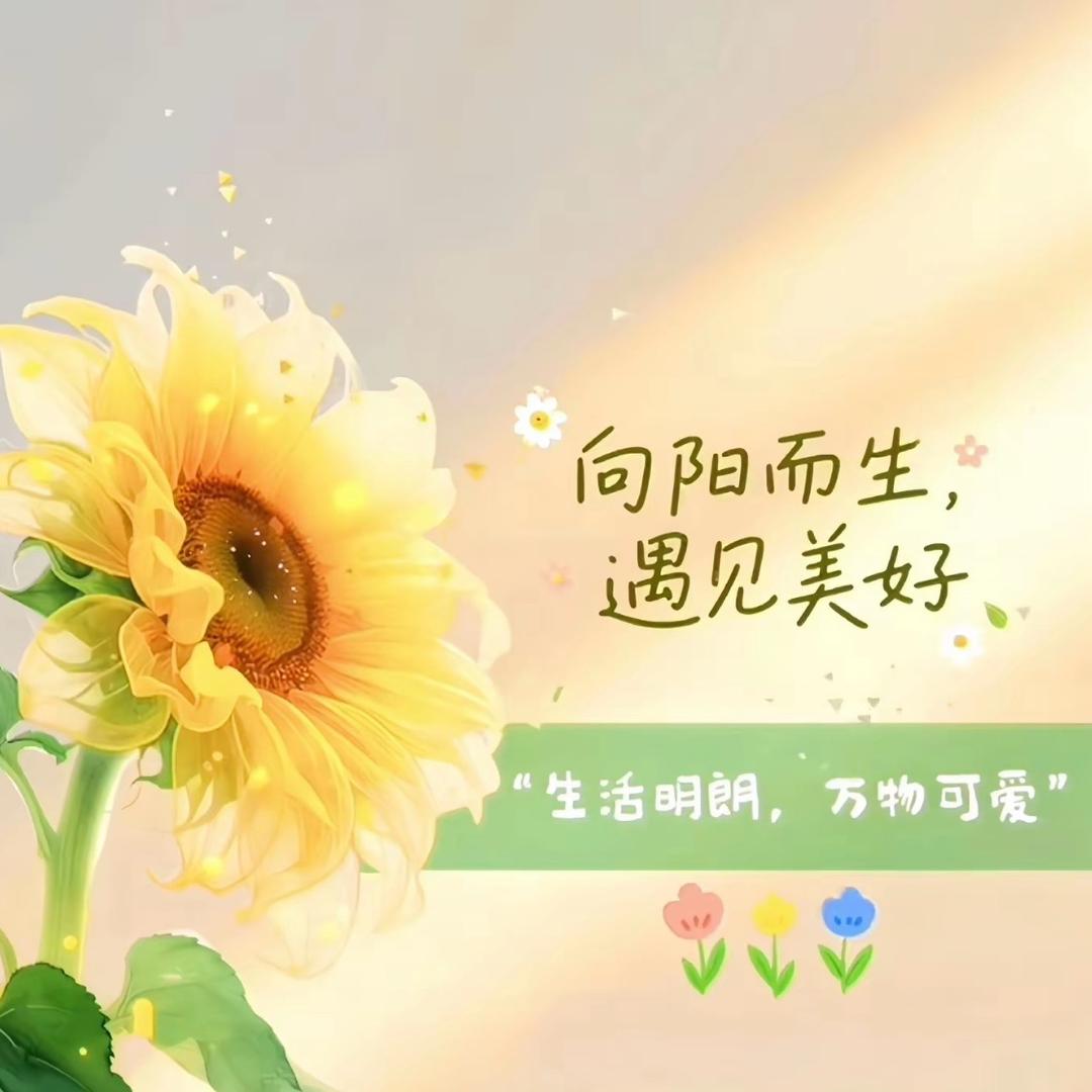 暖阳💗
