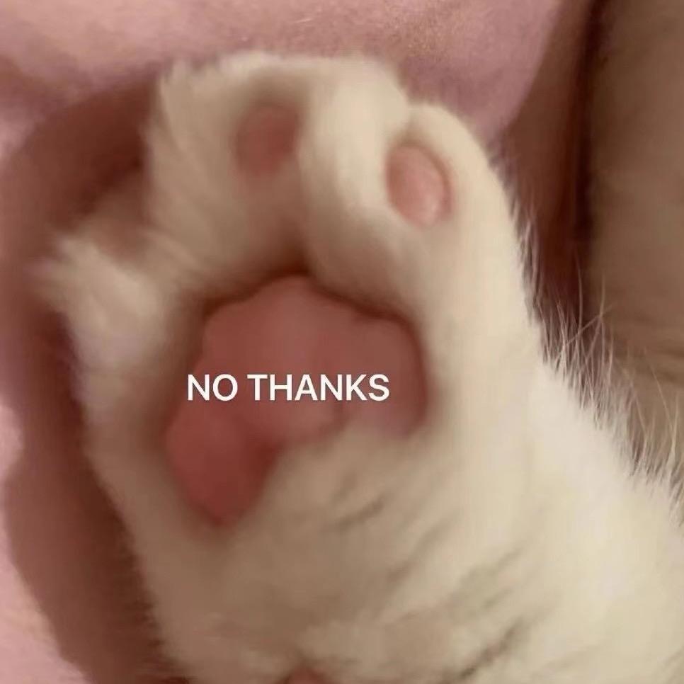 AAA优质奶牛猫商店