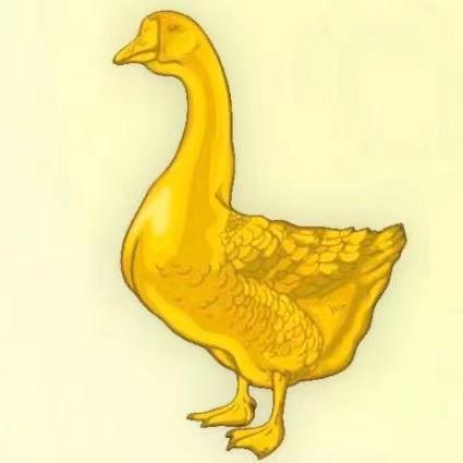 三水鹅王🦢