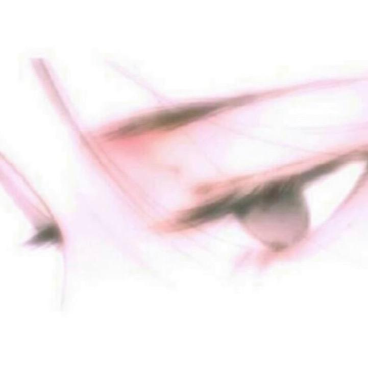 小鱼晒干了