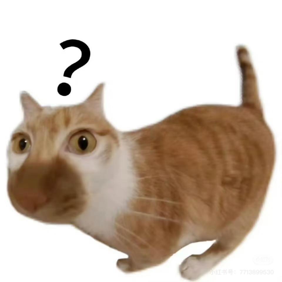 团子不爱笑
