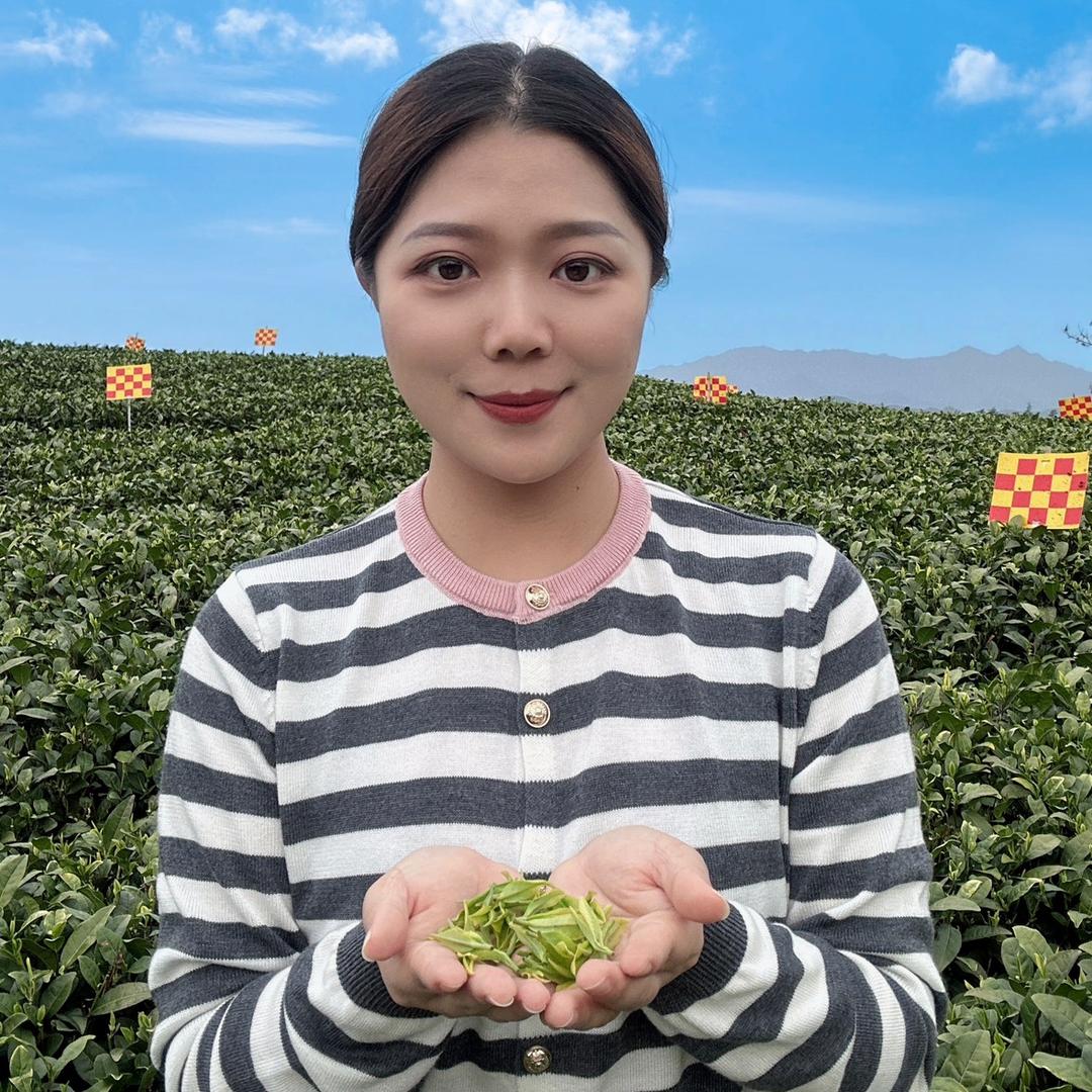兄妹茶叶