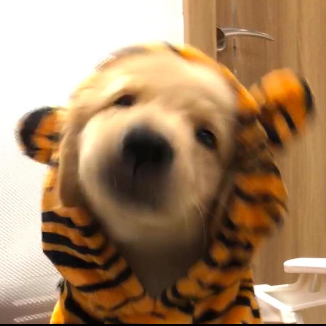 🫠