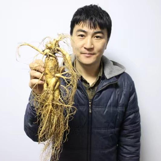 大森林派滋补专营店