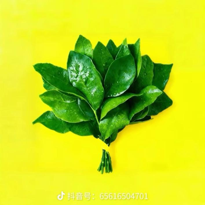 ঞ᭄ℒℴѵℯself💞ꩵ