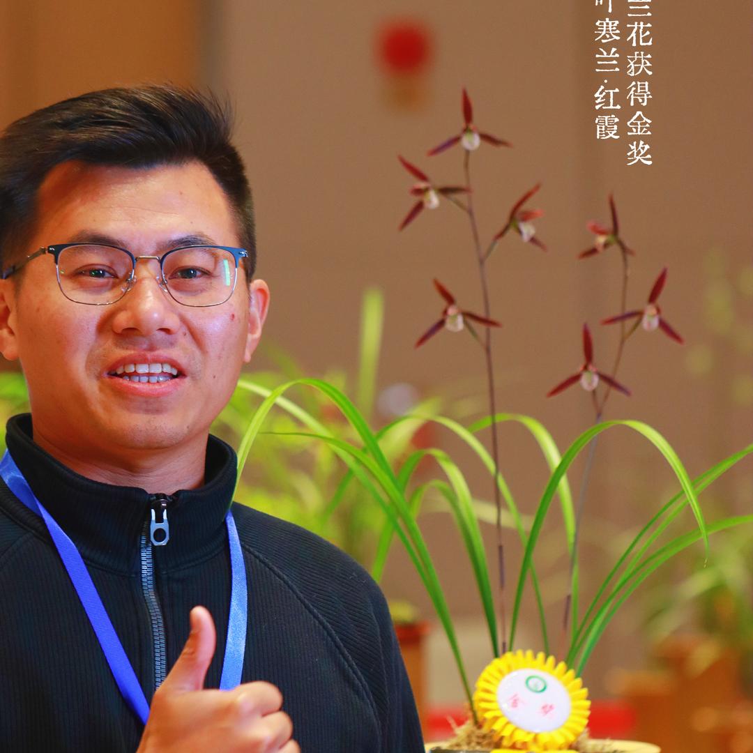 龙岩龙城兰花