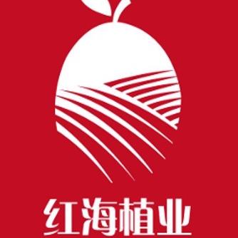 红海小镇营养食品旗舰店