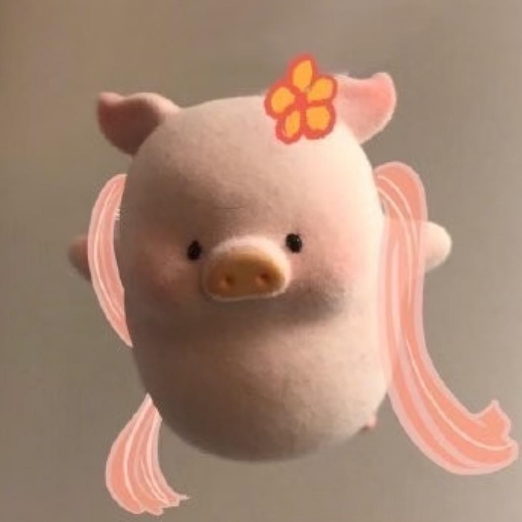 小合猪