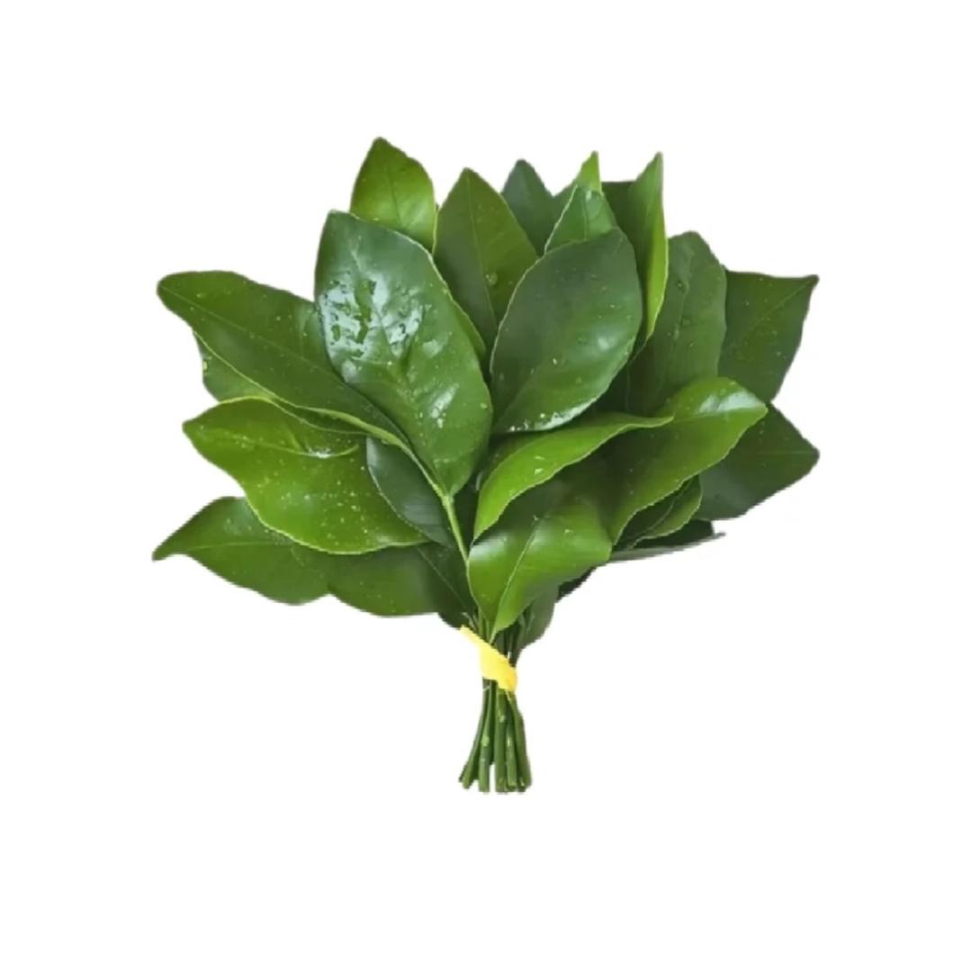 🦋天泽的小心肝🦋