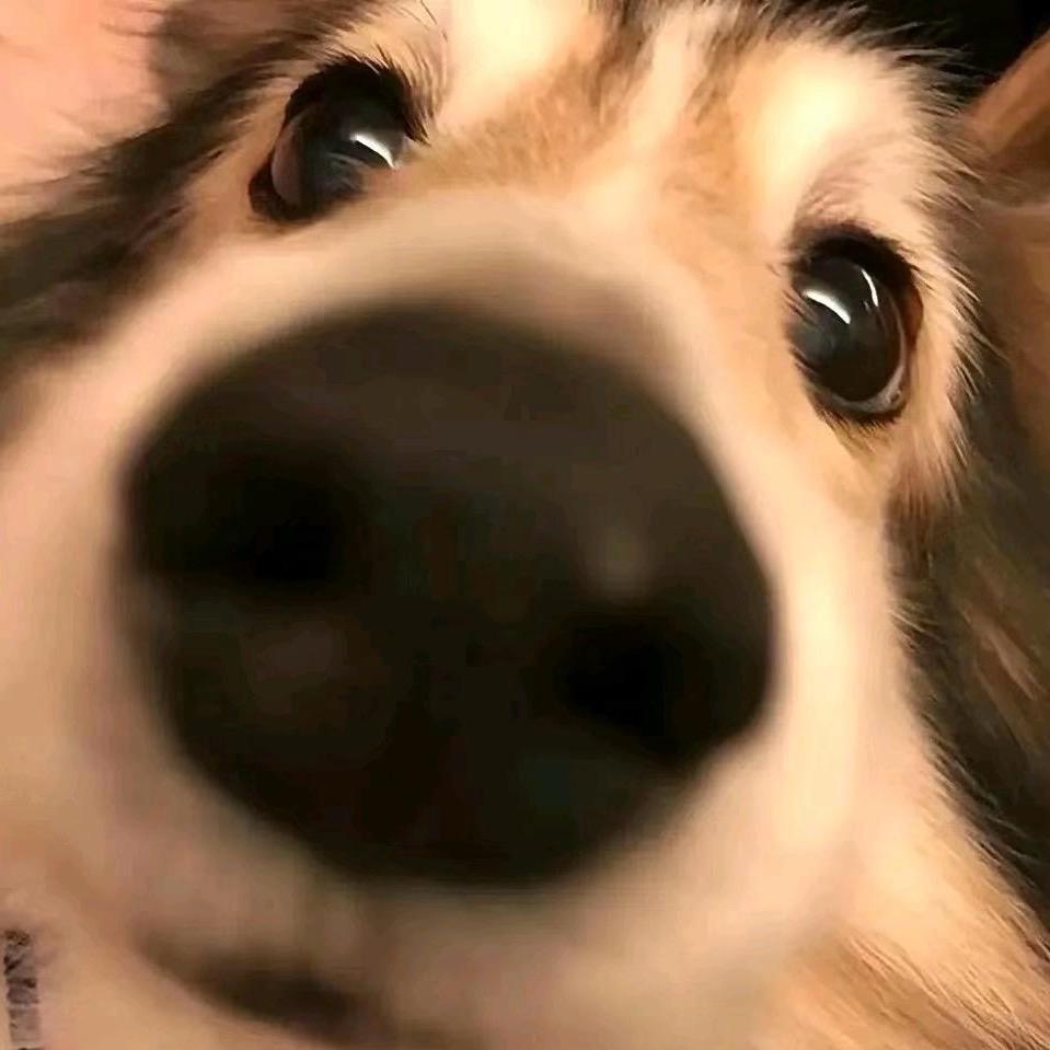 愛.