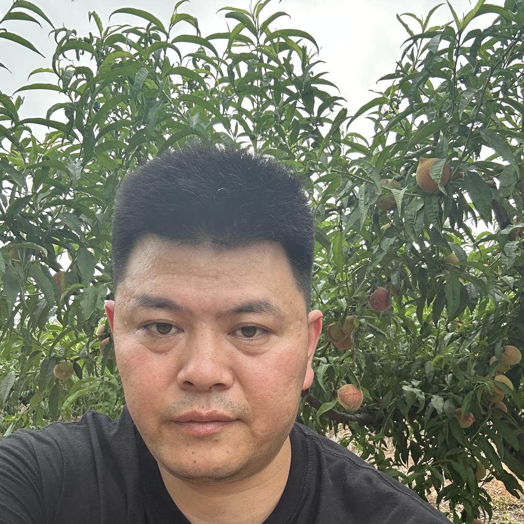 小涛土特产T