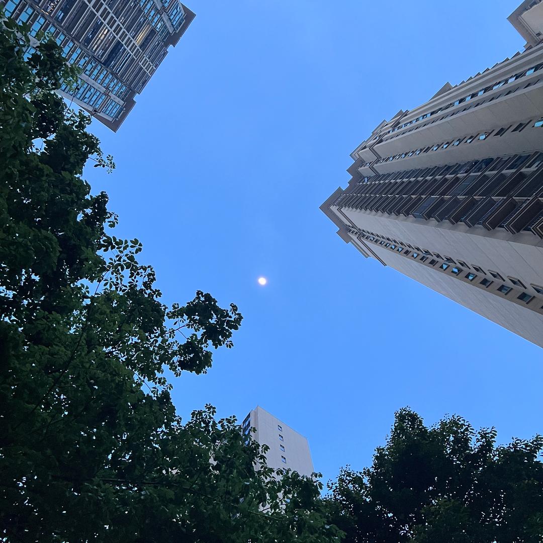 阿旭