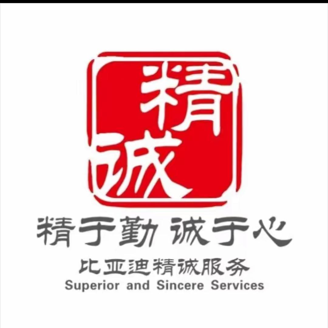 比亚迪西部大道王朝店