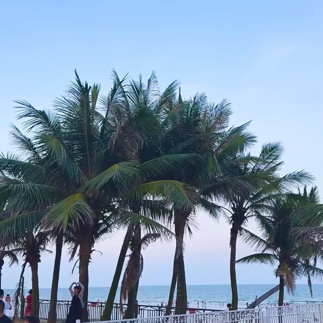 鼎龙湾🌞海边旅居