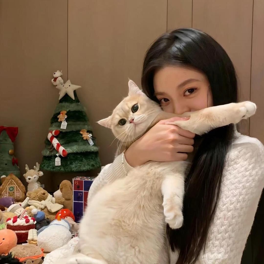 好运莲莲