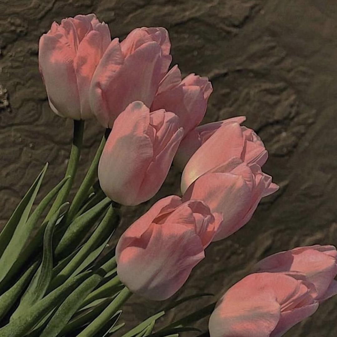 繁花屿你鲜花同城配送