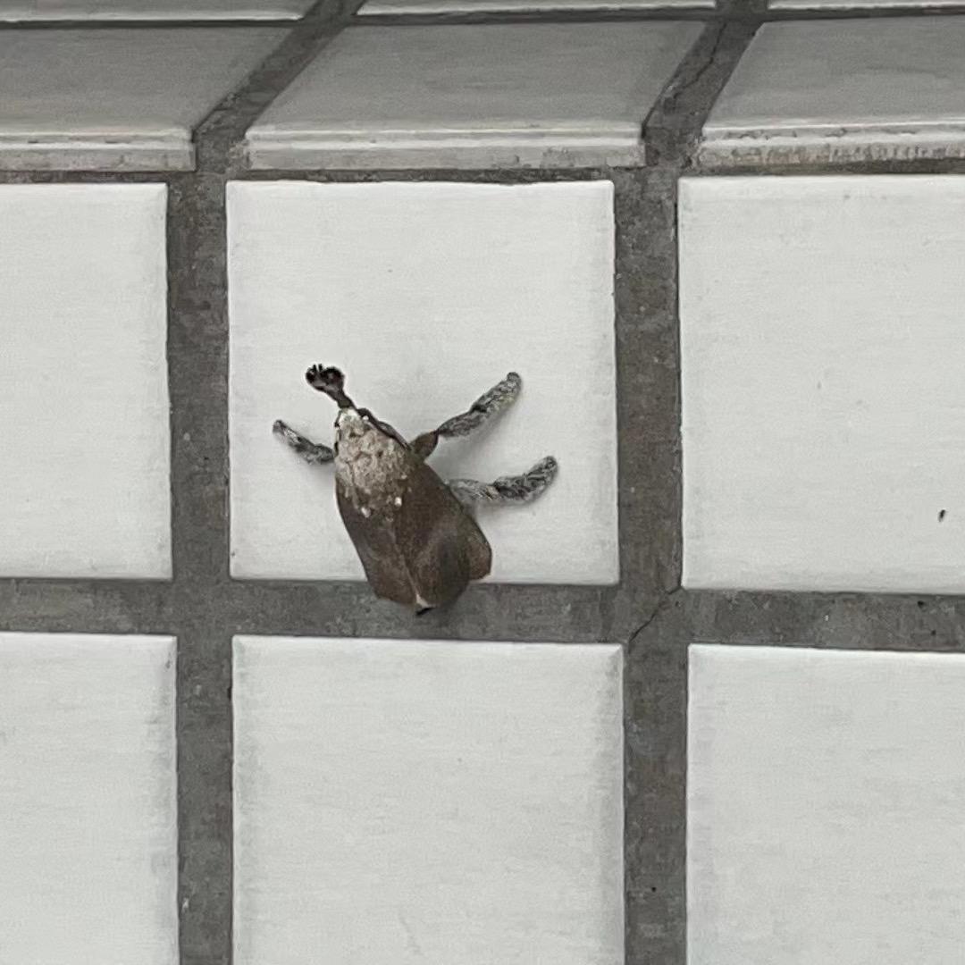 science teacher 阿丘