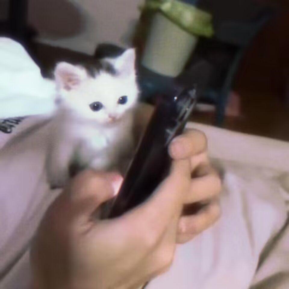 来财来财
