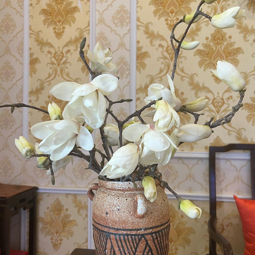 小豆芽