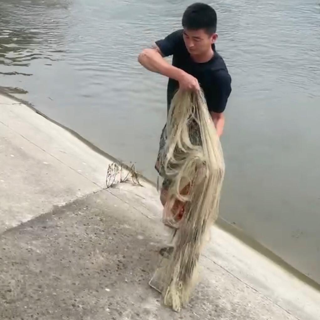 看个毛线