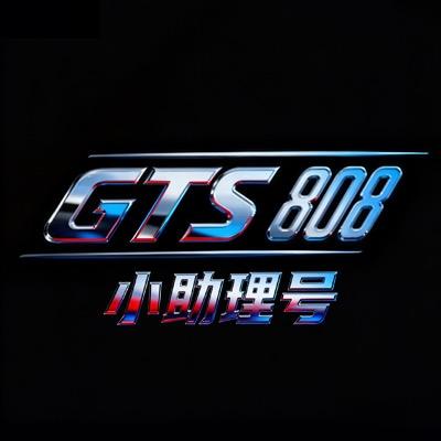GTS小助理