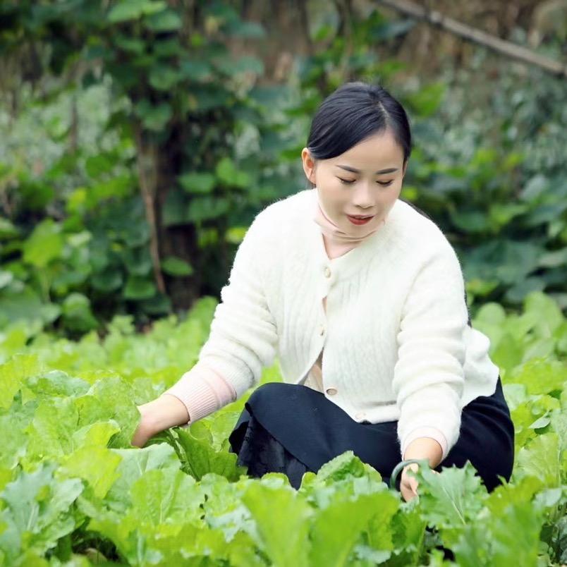 夏天与傻大叔