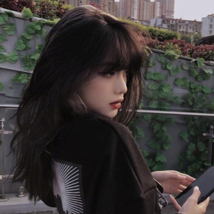 万宝lu 💫