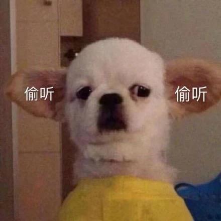 小王爱运动