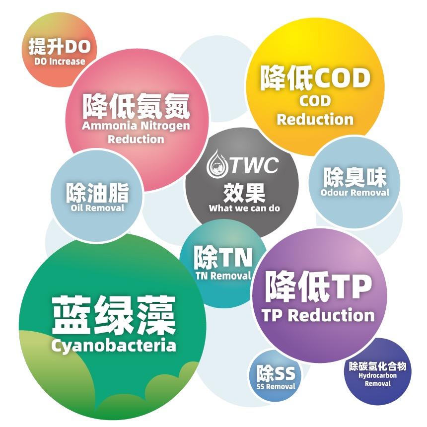 TWC生物蜡总部