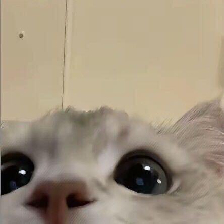 饥饿粉色酸豆角包