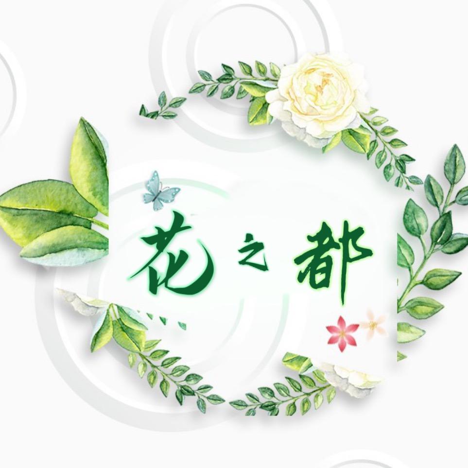 花之都绿植电商