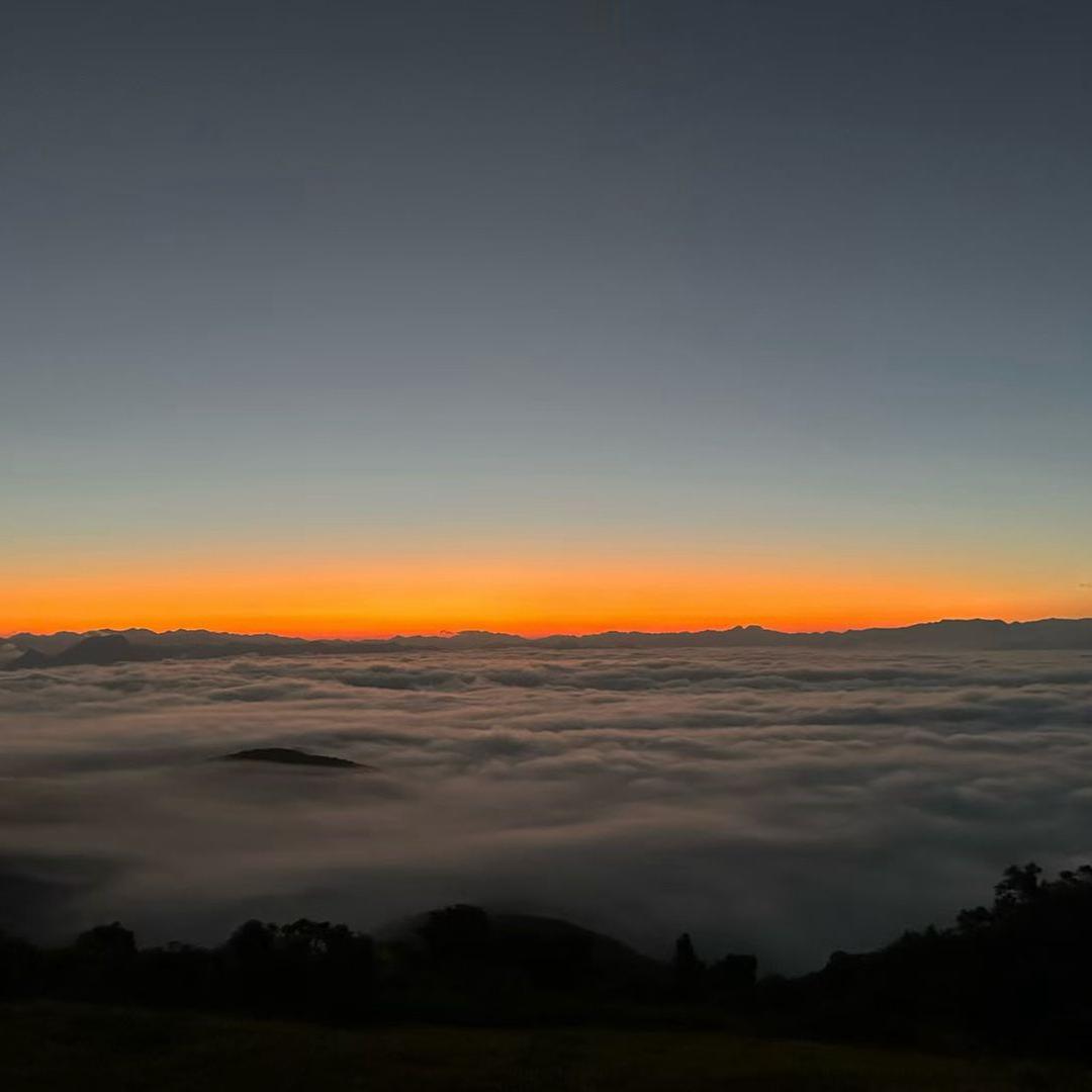 休🍇脆提子🌙