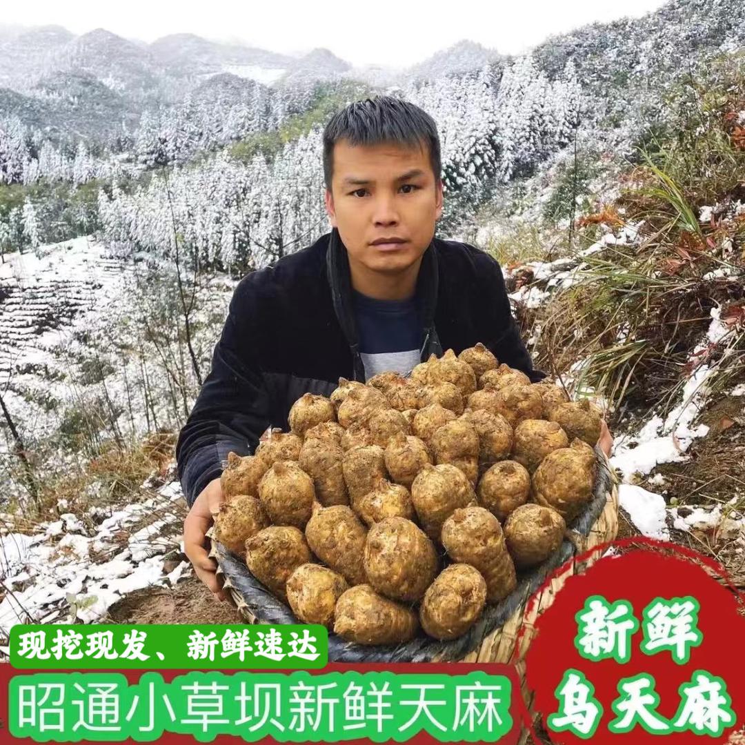 @天麻哥滋补店