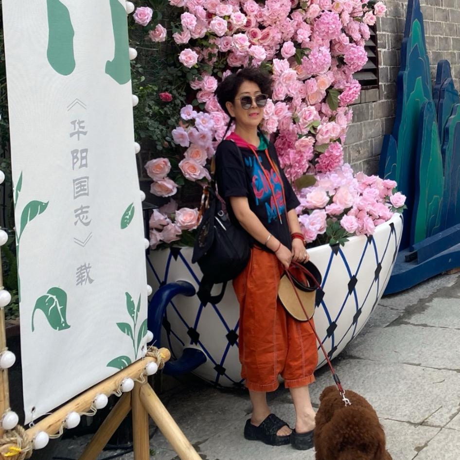 太阳花