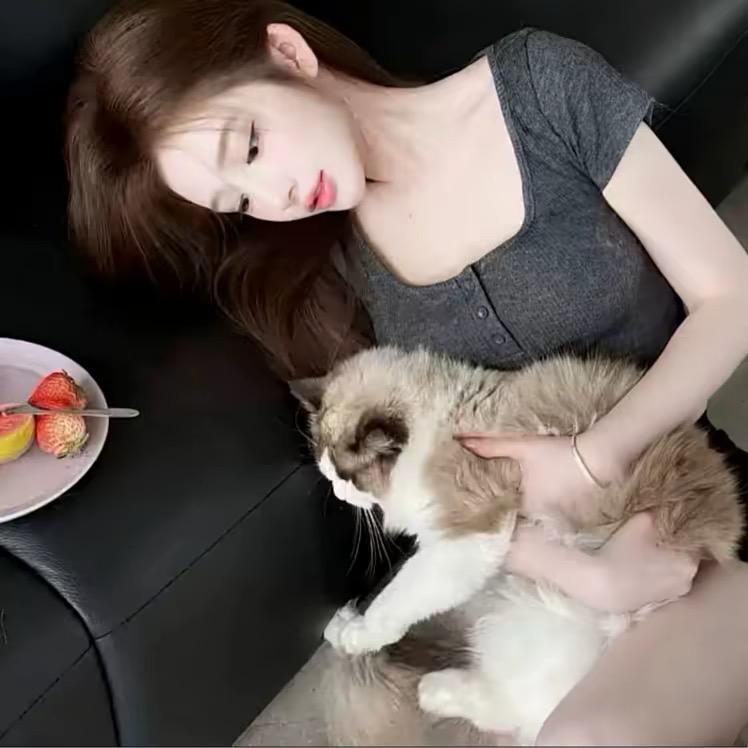 依依