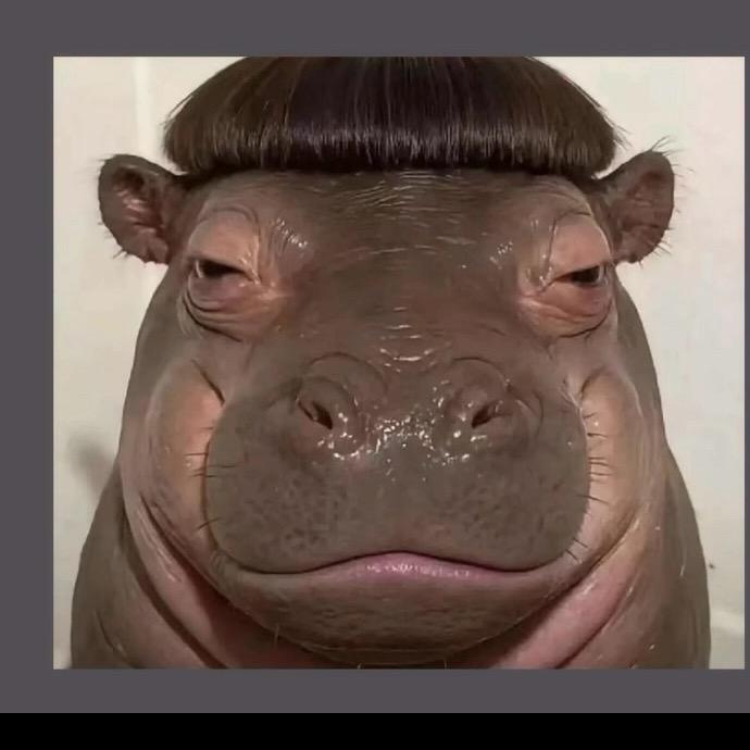 玛喽妹妹