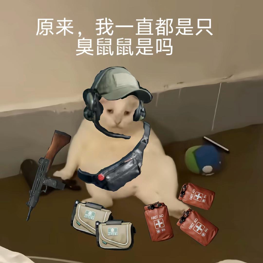 苦茶(三角洲行动)