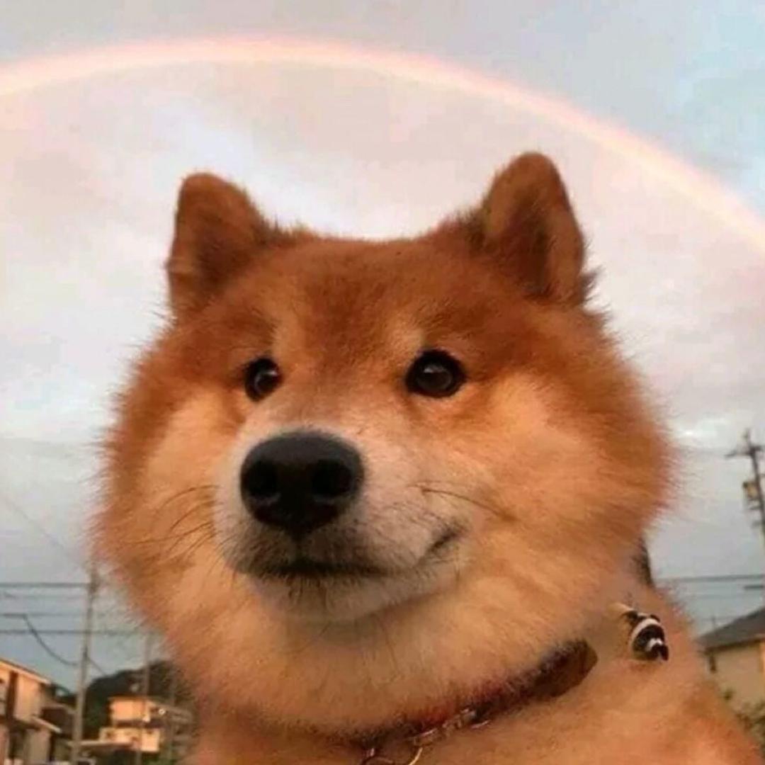 W_W