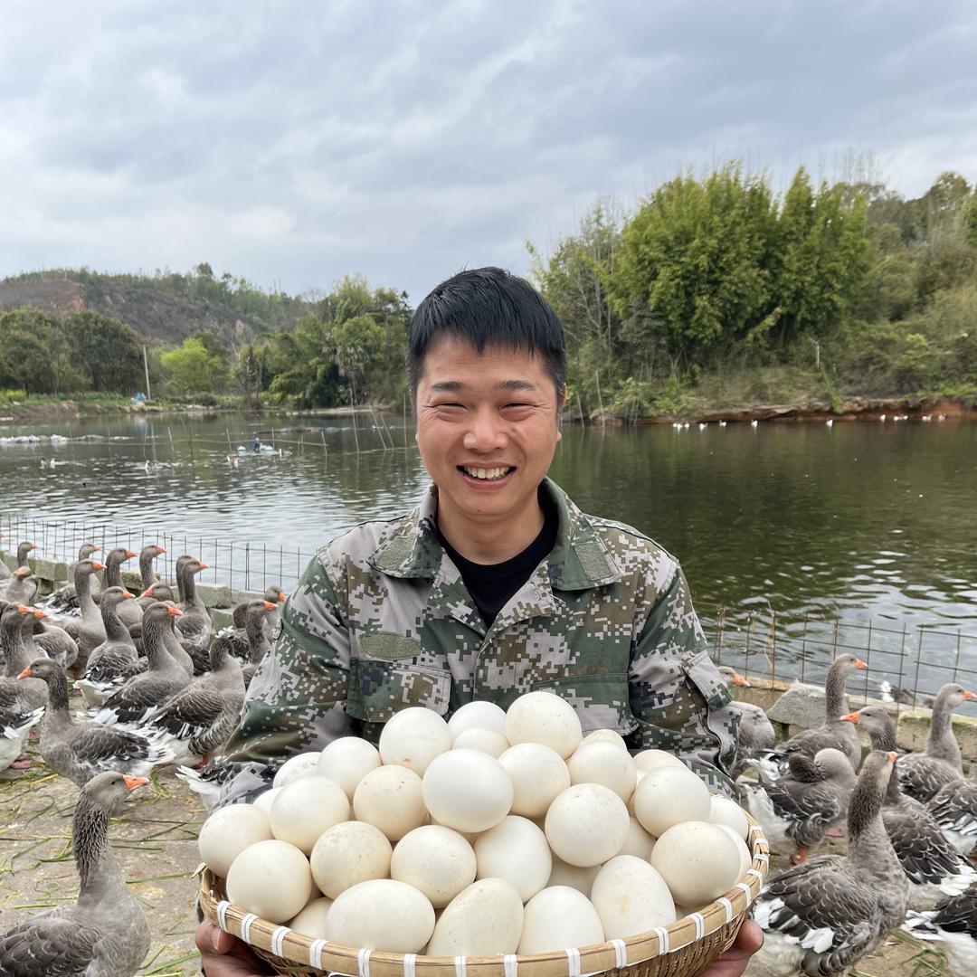 放鹅娃生态农场