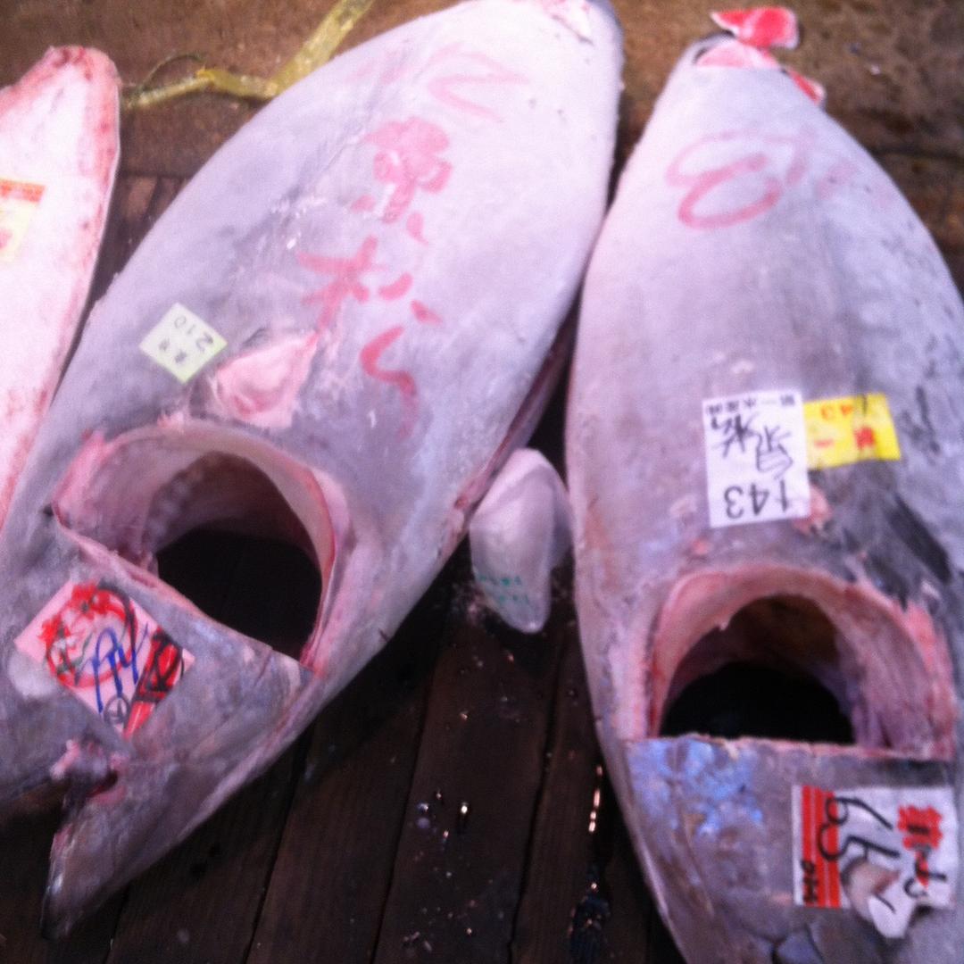 ASAHI AKAGAKI