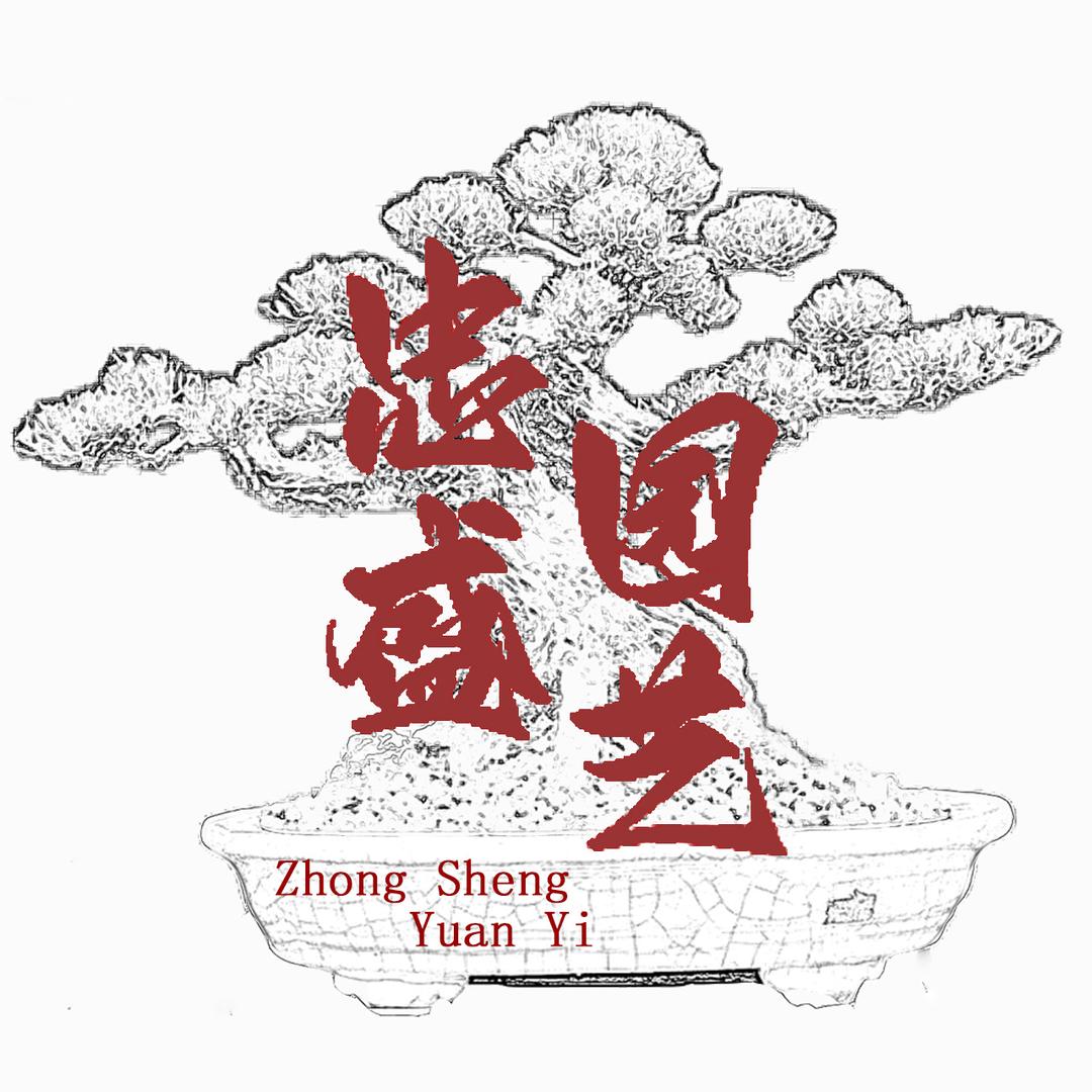 忠盛园艺(皱皮雀舌黄杨)
