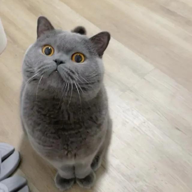 挖呀挖呀挖