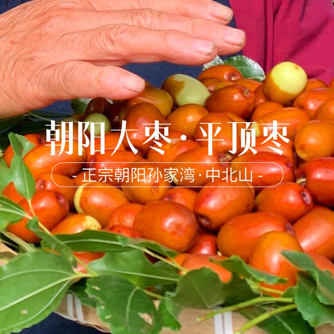 朝阳大枣孙家湾小刘果园