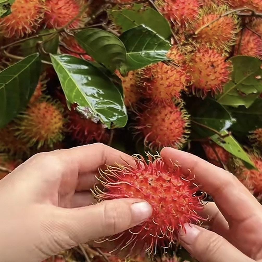 好物云集优选店