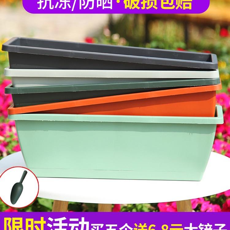 绿之美园艺.