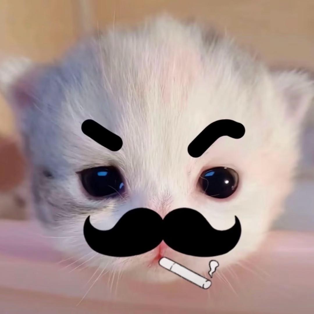 哈基蛋黄