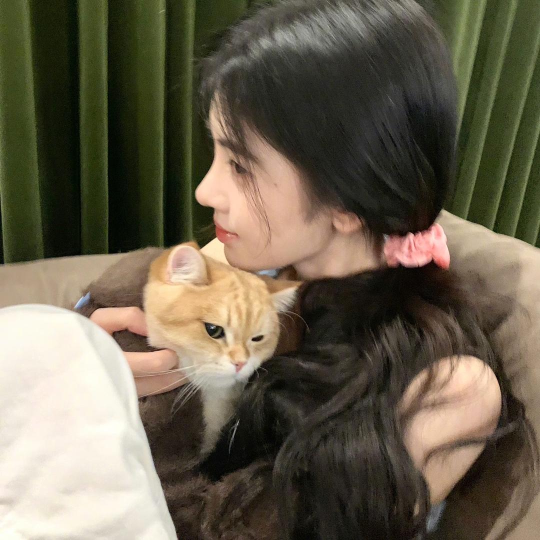笑许长安愿💕